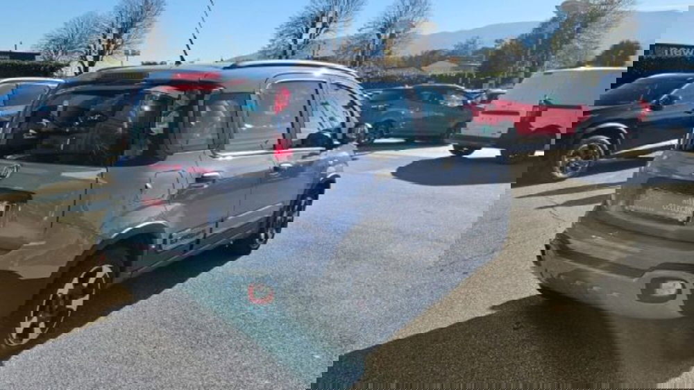 Fiat Panda usata a Lucca (4)