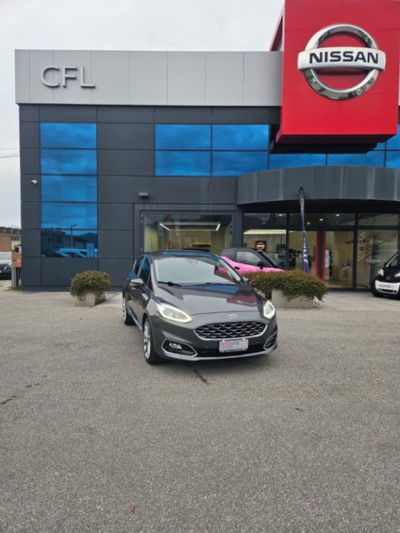 Ford Fiesta 1.0 Ecoboost 100 CV 5 porte Vignale del 2019 usata a Lucca