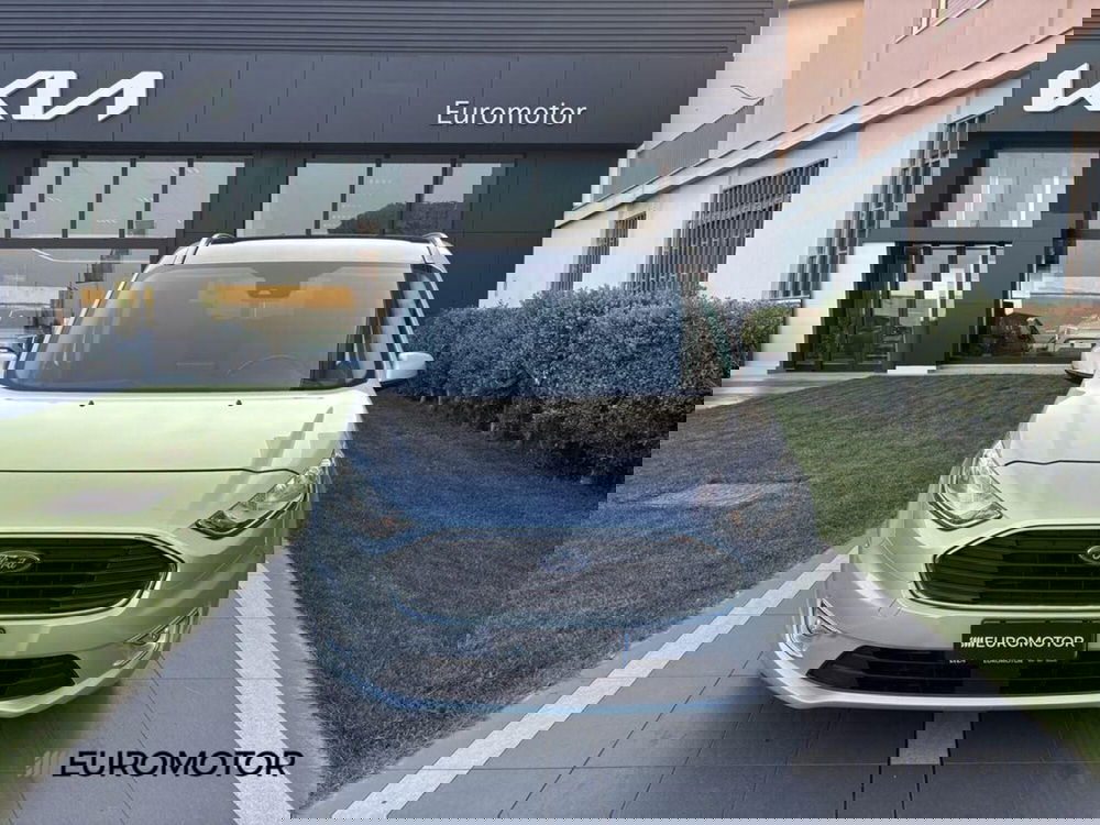 Ford Tourneo Connect usata a Bari (2)