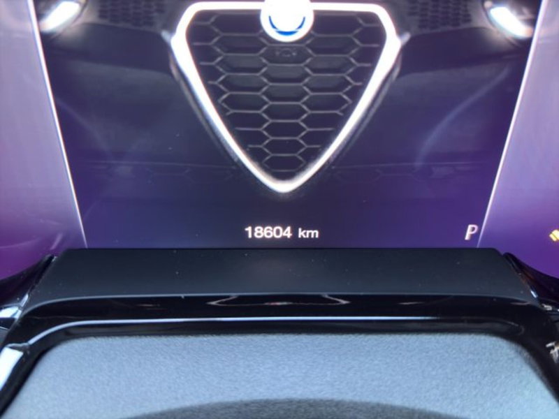 Alfa Romeo Tonale usata a Perugia (4)