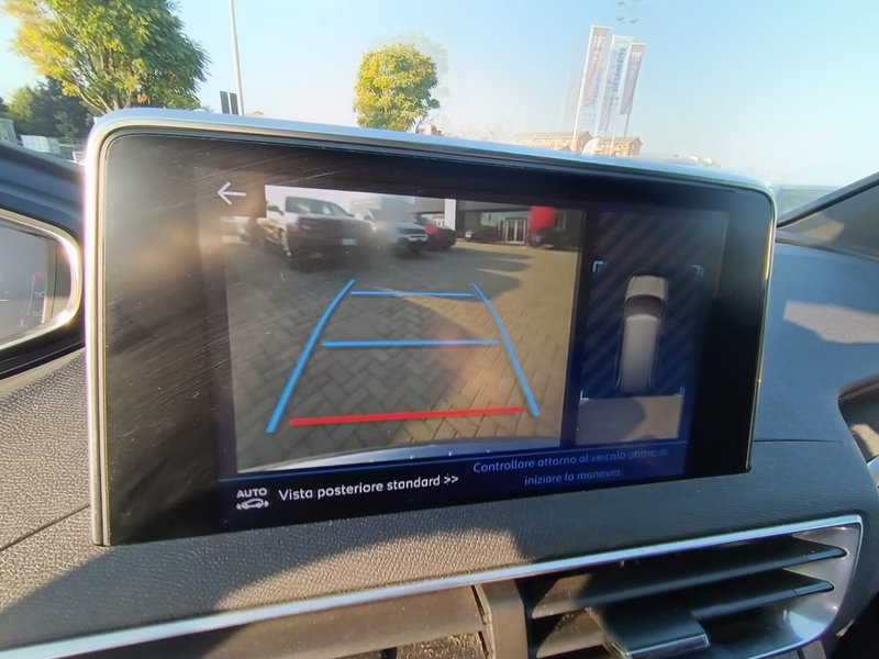 Peugeot 5008 usata a Alessandria (20)