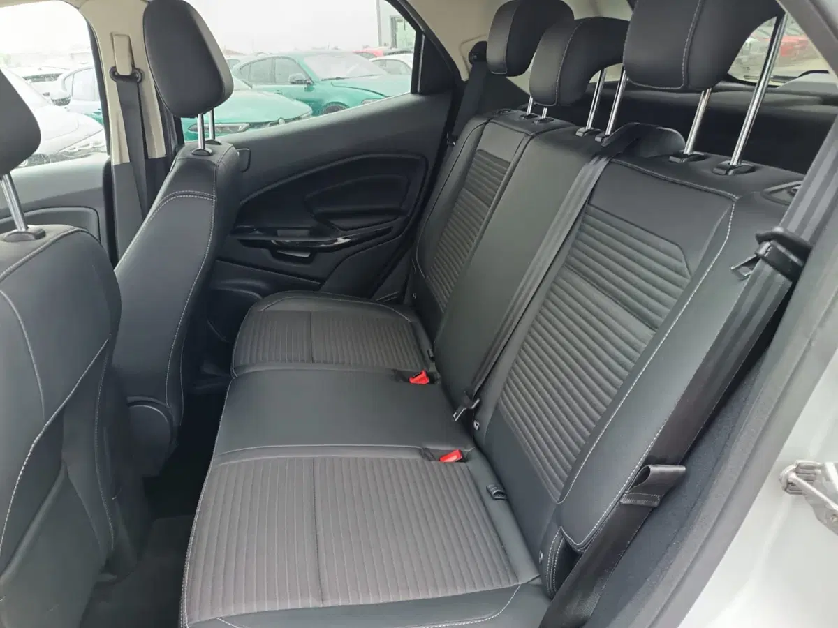 Ford EcoSport usata a Alessandria (14)