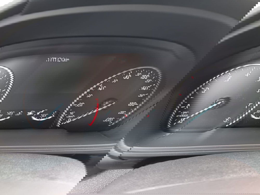 Ford EcoSport usata a Alessandria (15)