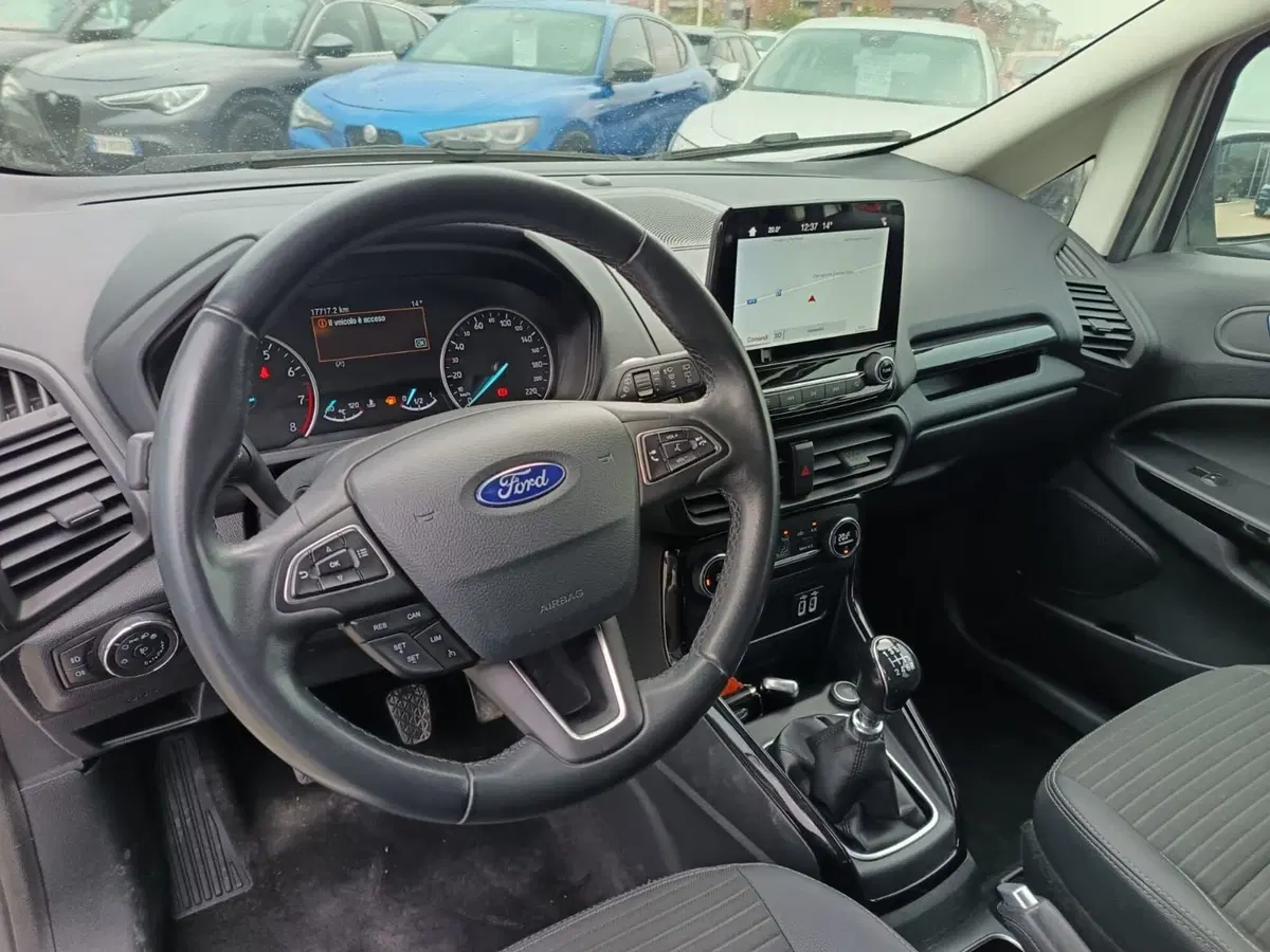 Ford EcoSport usata a Alessandria (18)