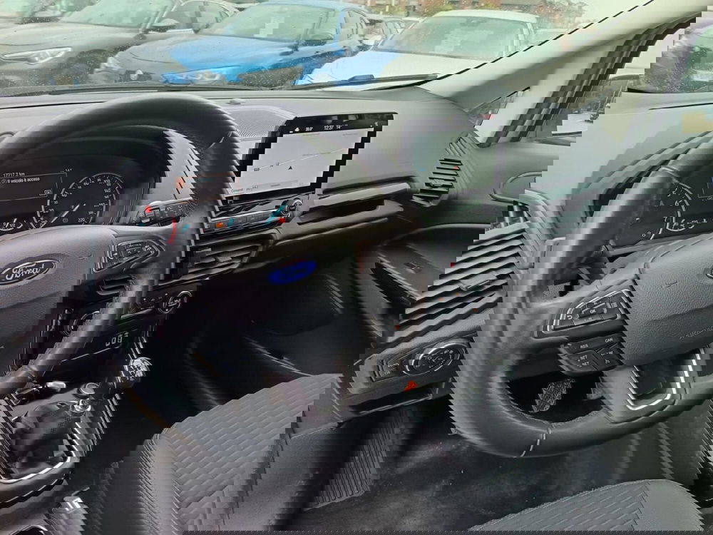Ford EcoSport usata a Alessandria (18)