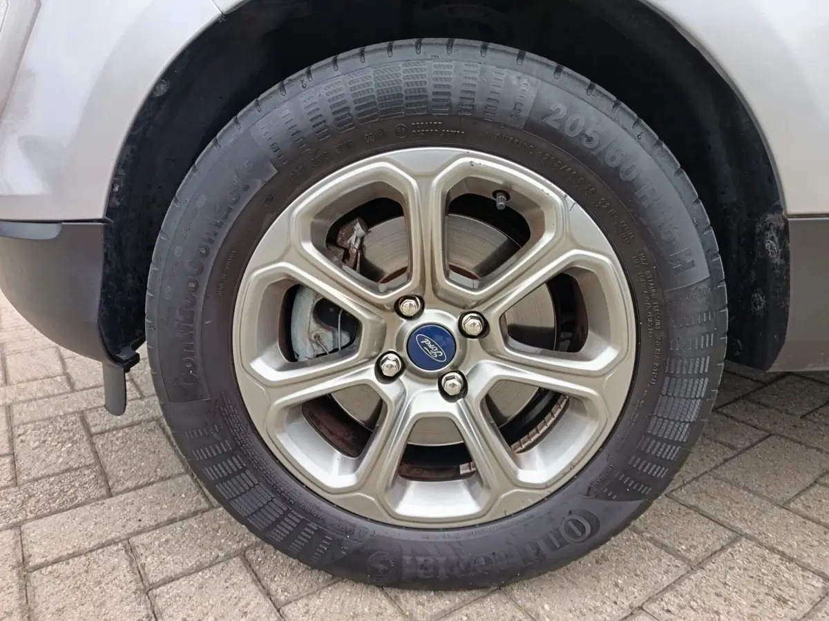 Ford EcoSport usata a Alessandria (9)