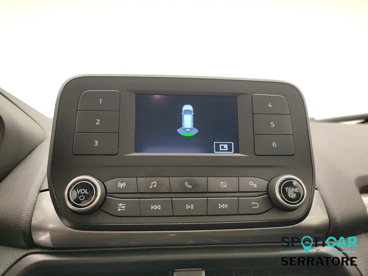 Ford EcoSport usata a Como (10)