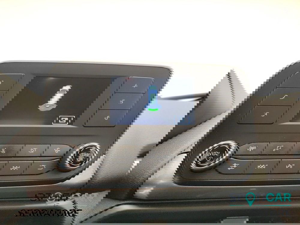 Ford EcoSport usata a Como (10)