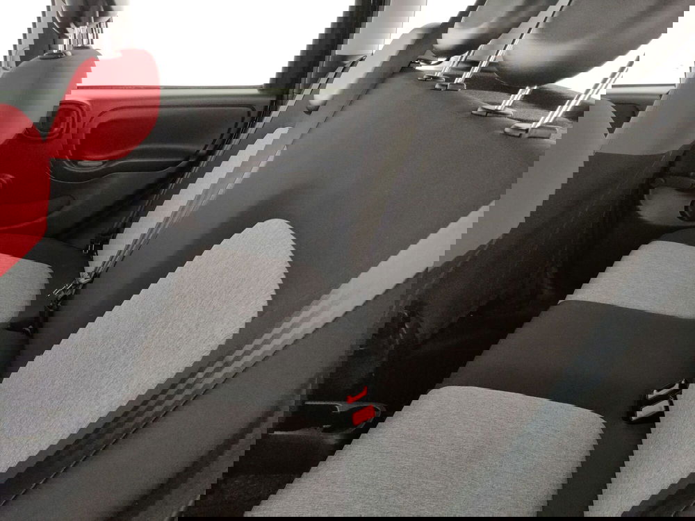 Fiat Panda usata a Caserta (15)