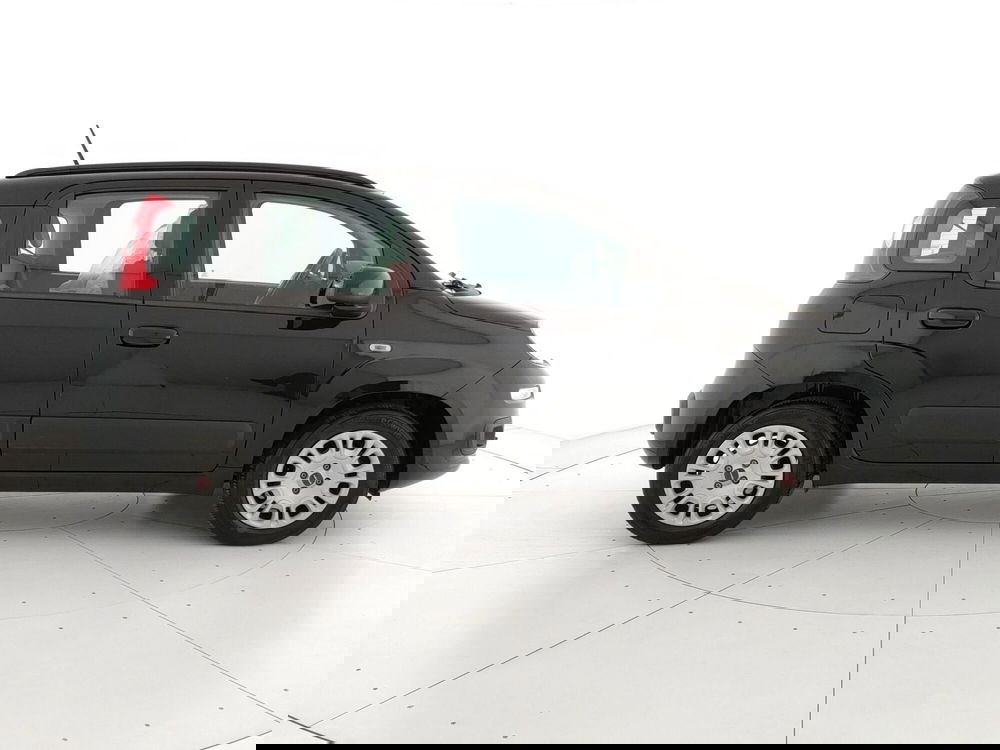 Fiat Panda usata a Caserta (4)