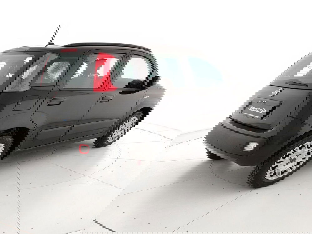 Fiat Panda usata a Caserta (5)