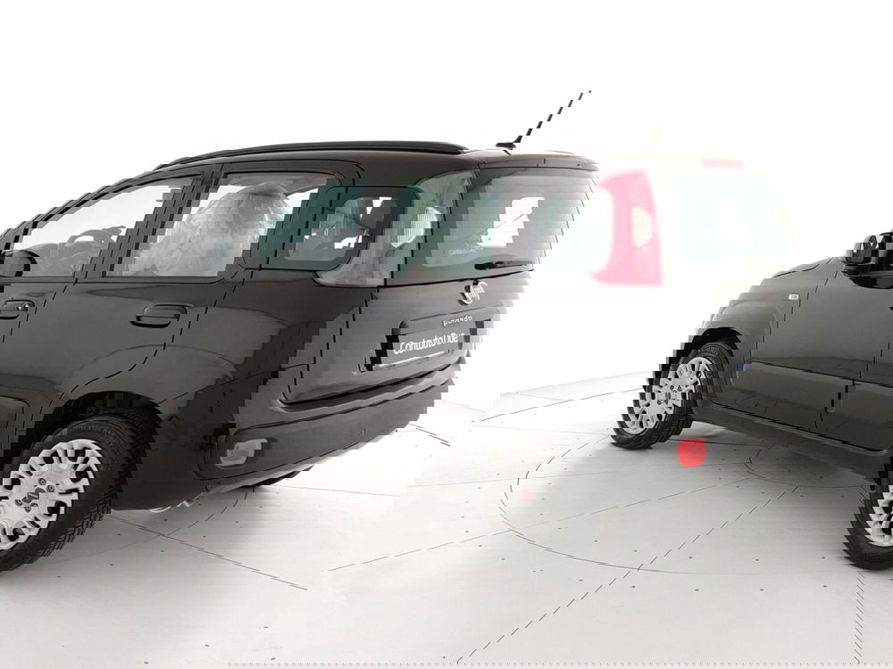 Fiat Panda usata a Caserta (7)