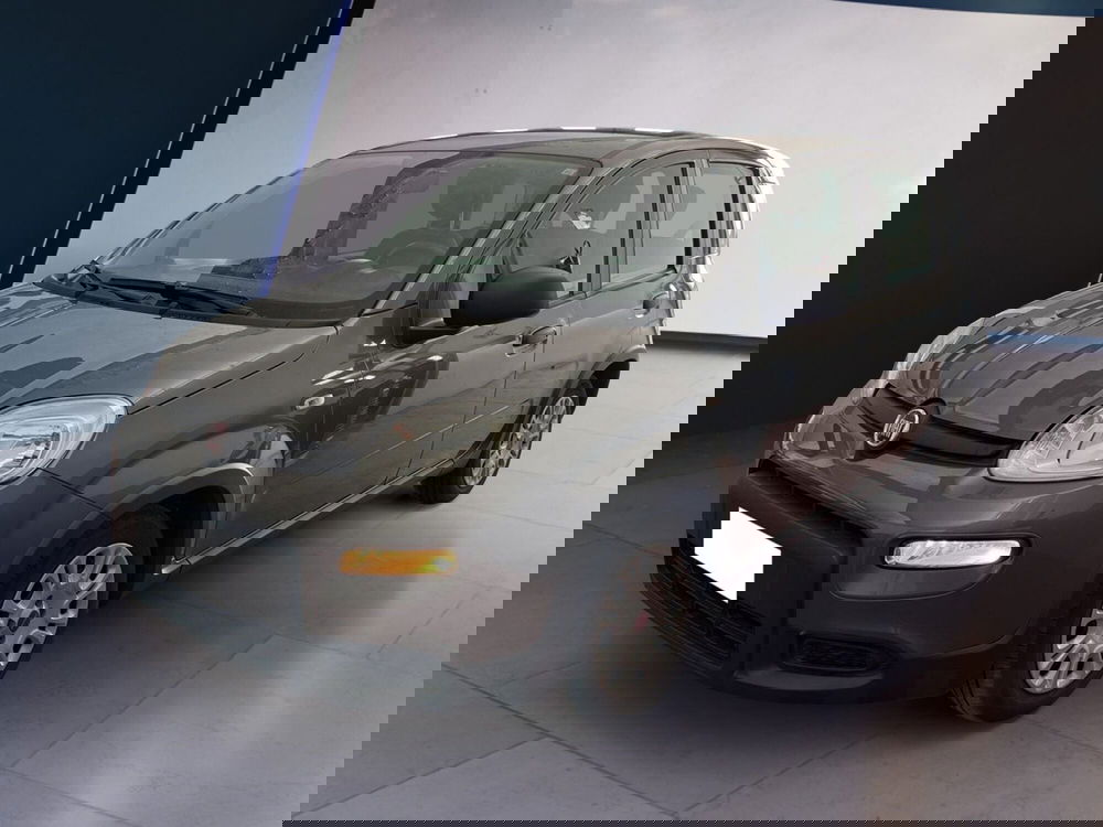 Fiat Panda usata a Torino (2)