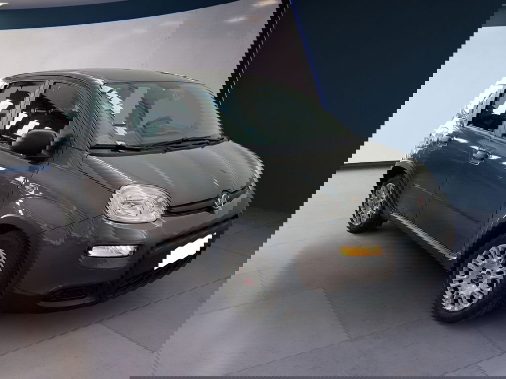 Fiat Panda usata a Torino (3)