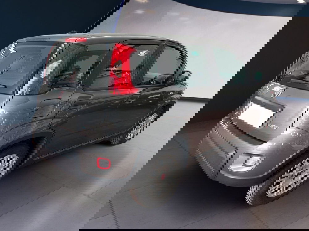 Fiat Panda usata a Torino (4)