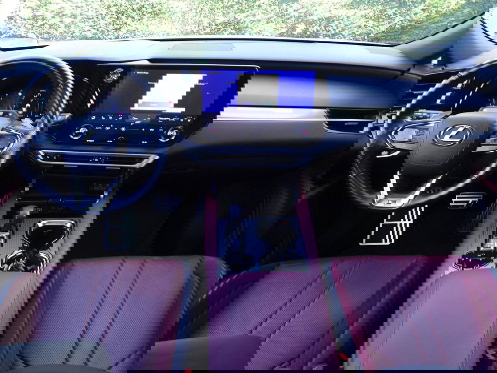 Lexus RX usata a Treviso (14)