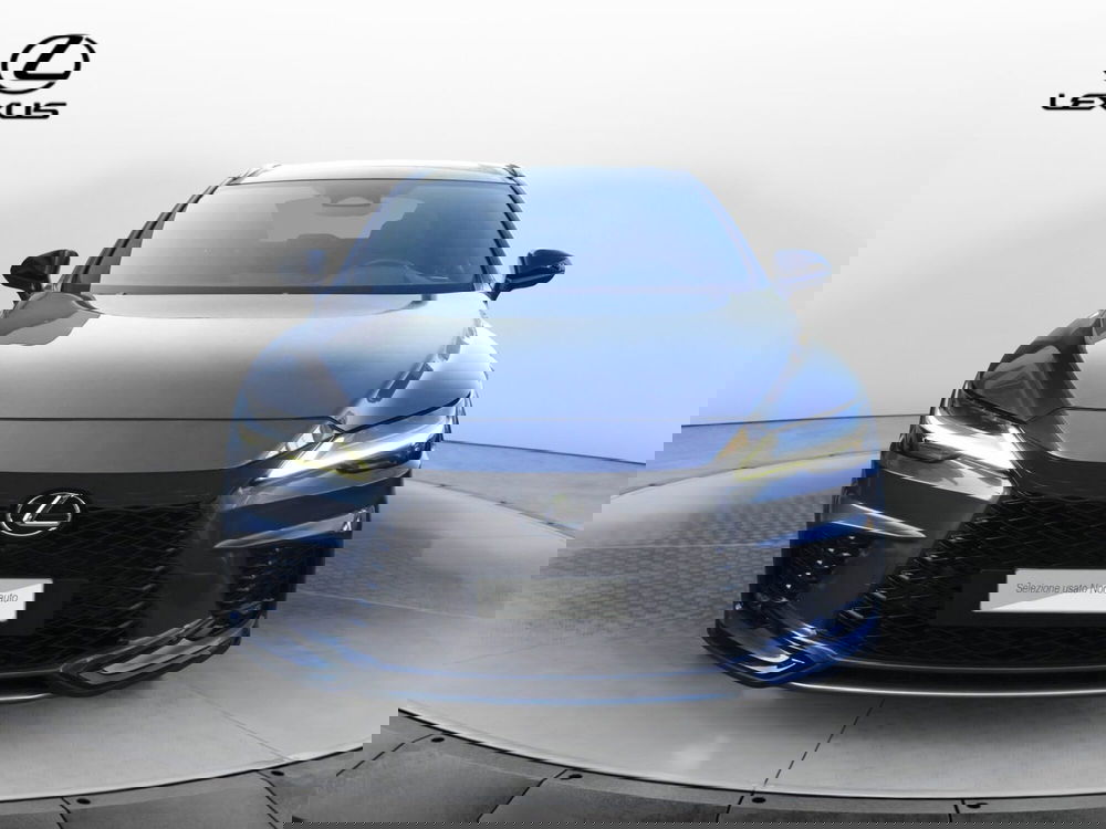 Lexus RX usata a Treviso (2)