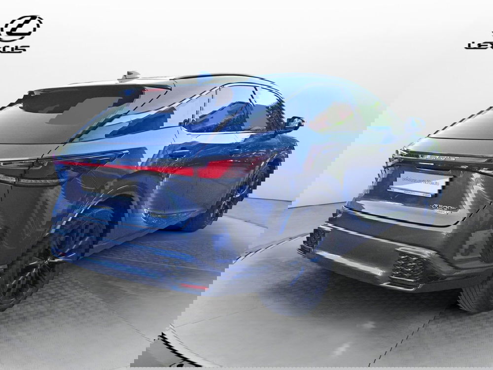 Lexus RX usata a Treviso (5)