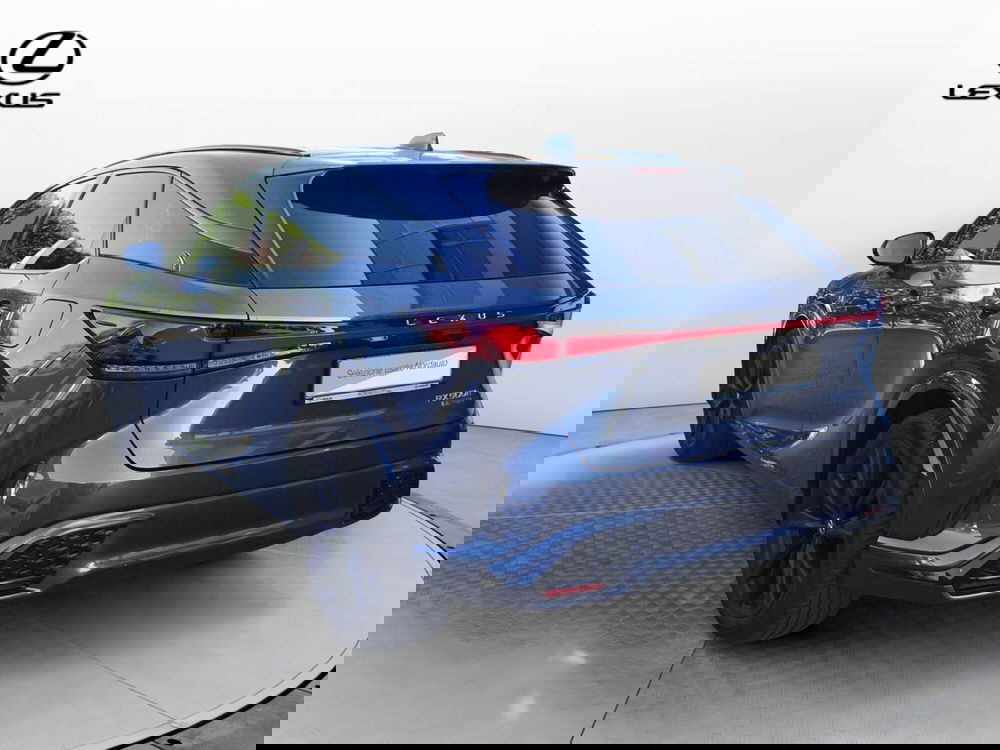 Lexus RX usata a Treviso (7)