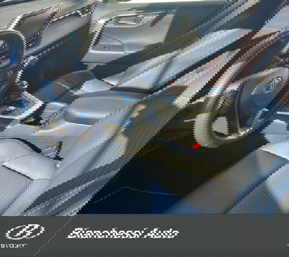 Toyota Rav4 usata a Cremona (12)