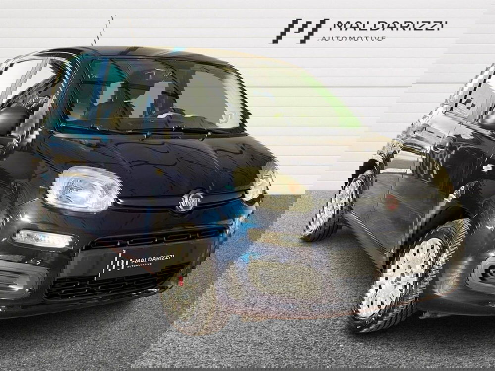 Fiat Panda usata a Foggia (11)