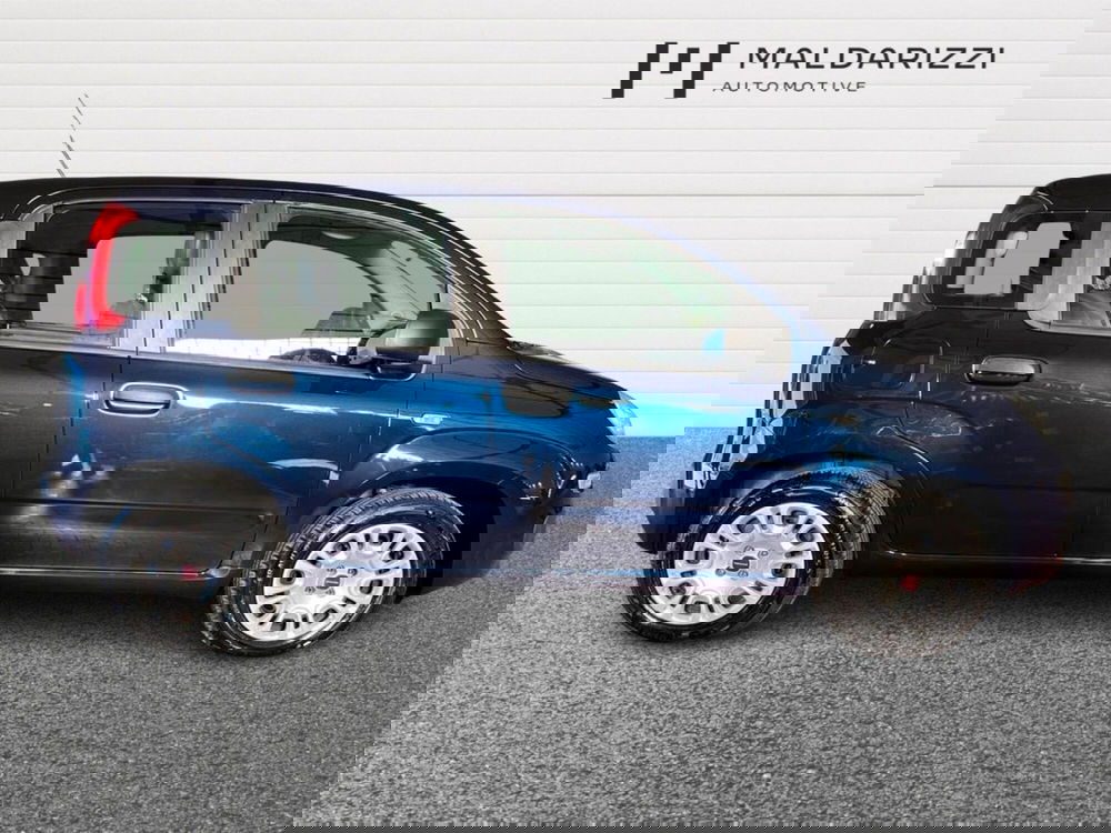 Fiat Panda usata a Foggia (5)