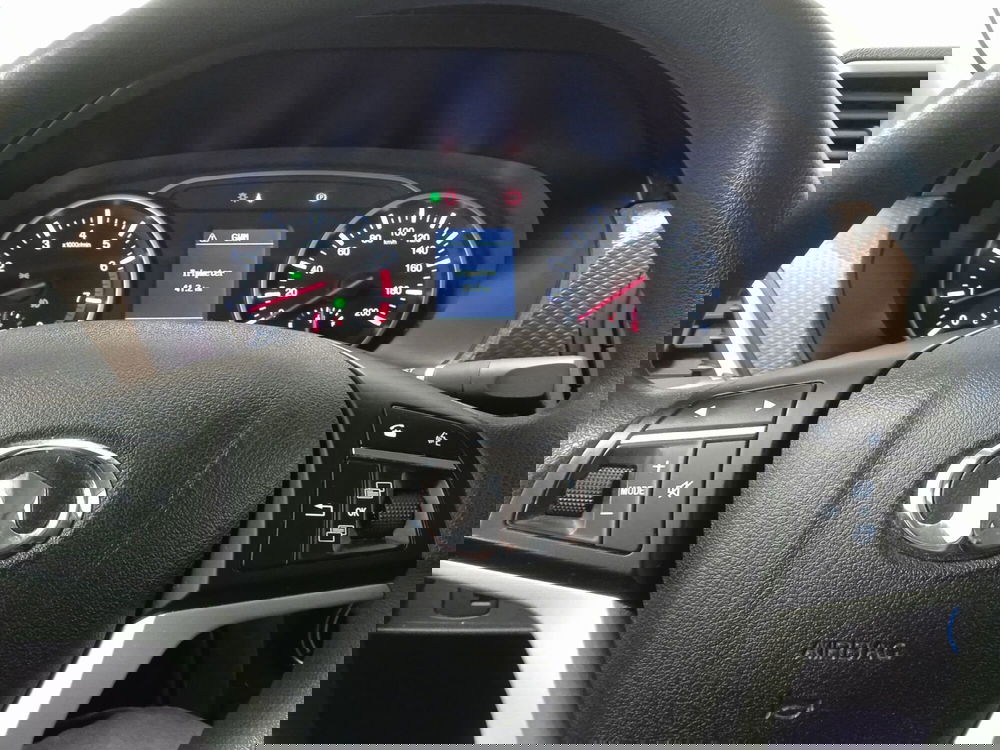 Great Wall Steed Pick-up usata a Torino (13)