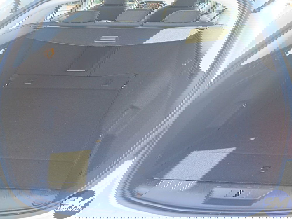 Peugeot 308 SW usata a Siena (18)