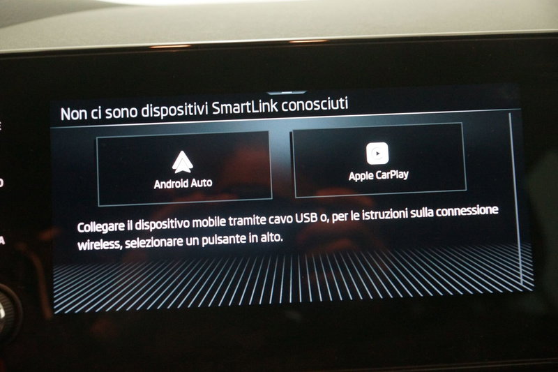 Skoda Kamiq usata a Torino (19)