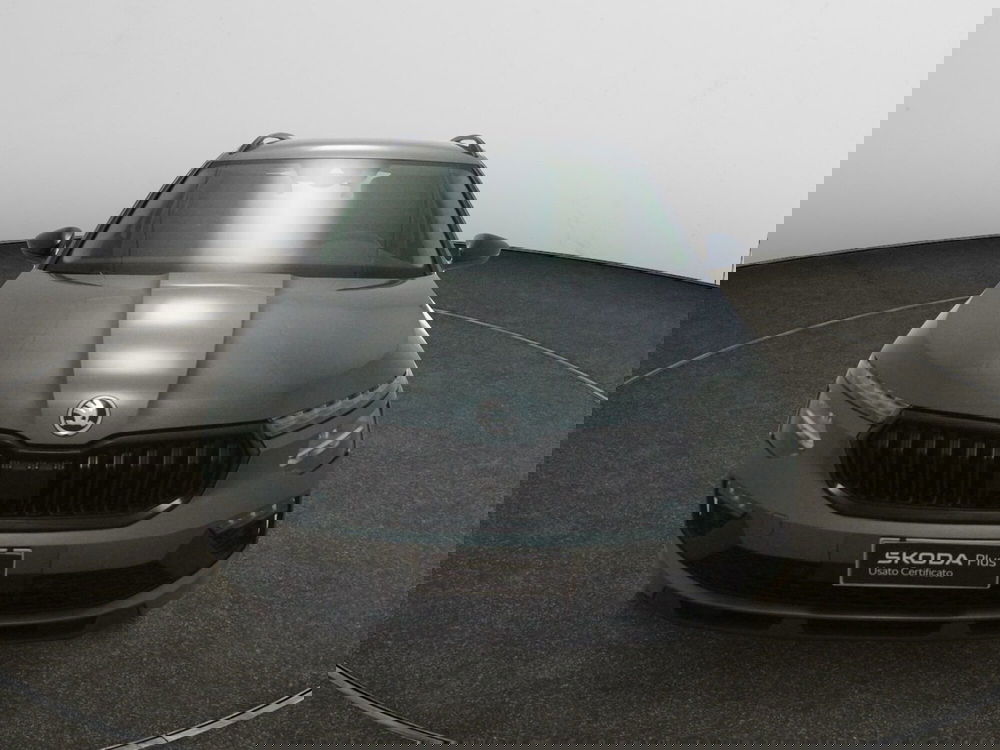 Skoda Kamiq usata a Torino (2)