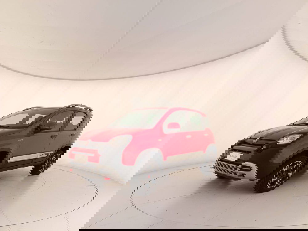 Fiat Panda usata a Treviso