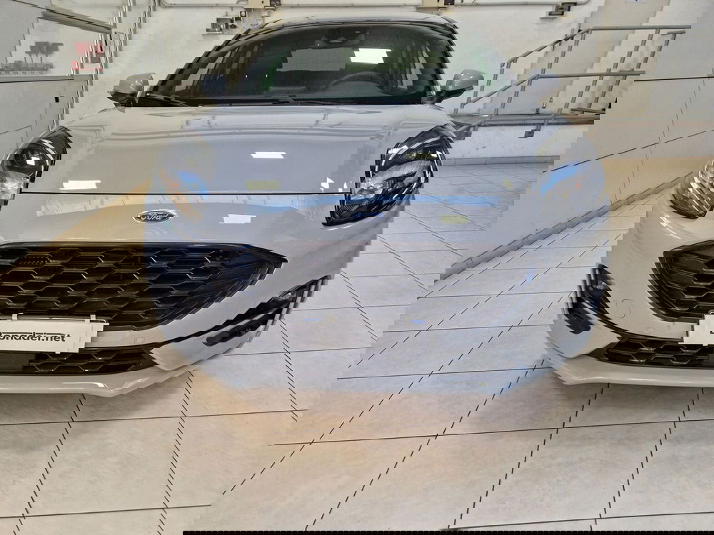 Ford Puma usata a Varese