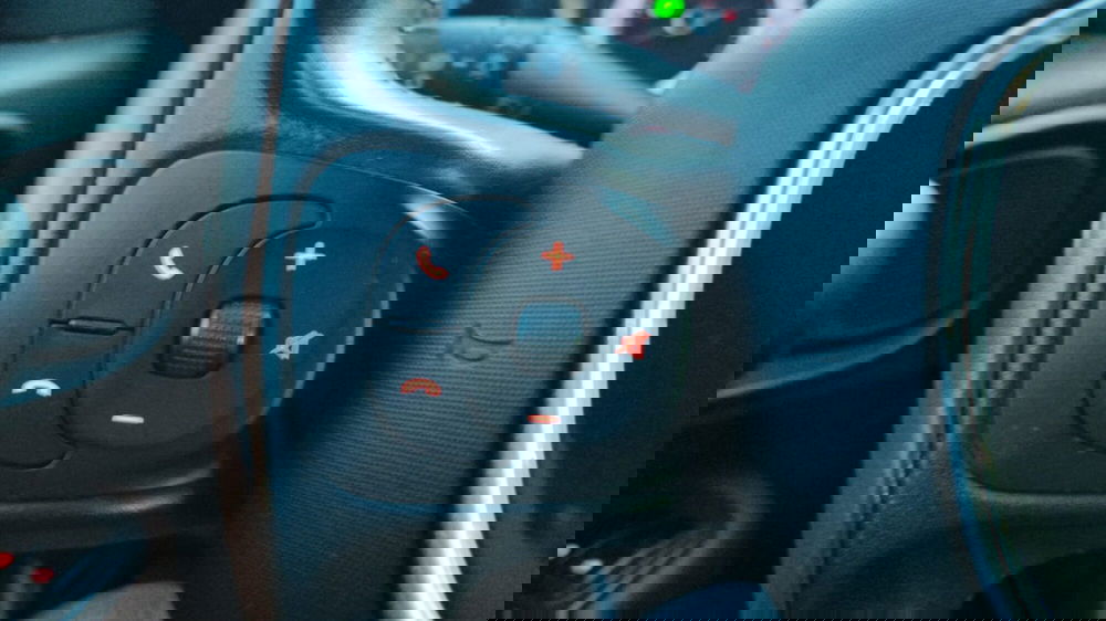 Fiat 500L usata a Firenze (16)