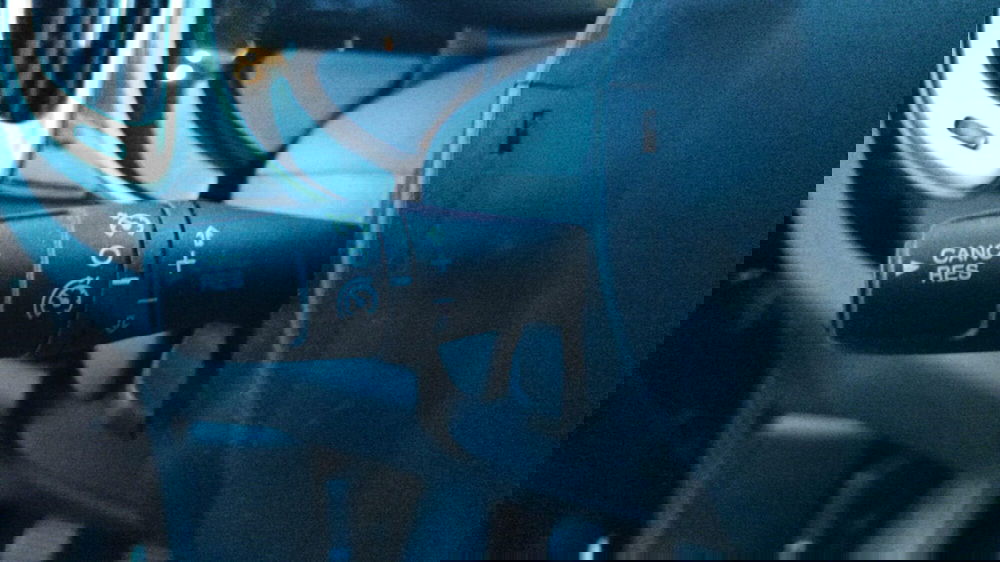 Fiat 500L usata a Firenze (19)