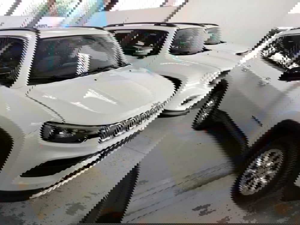 Jeep Compass usata a Forlì-Cesena (6)