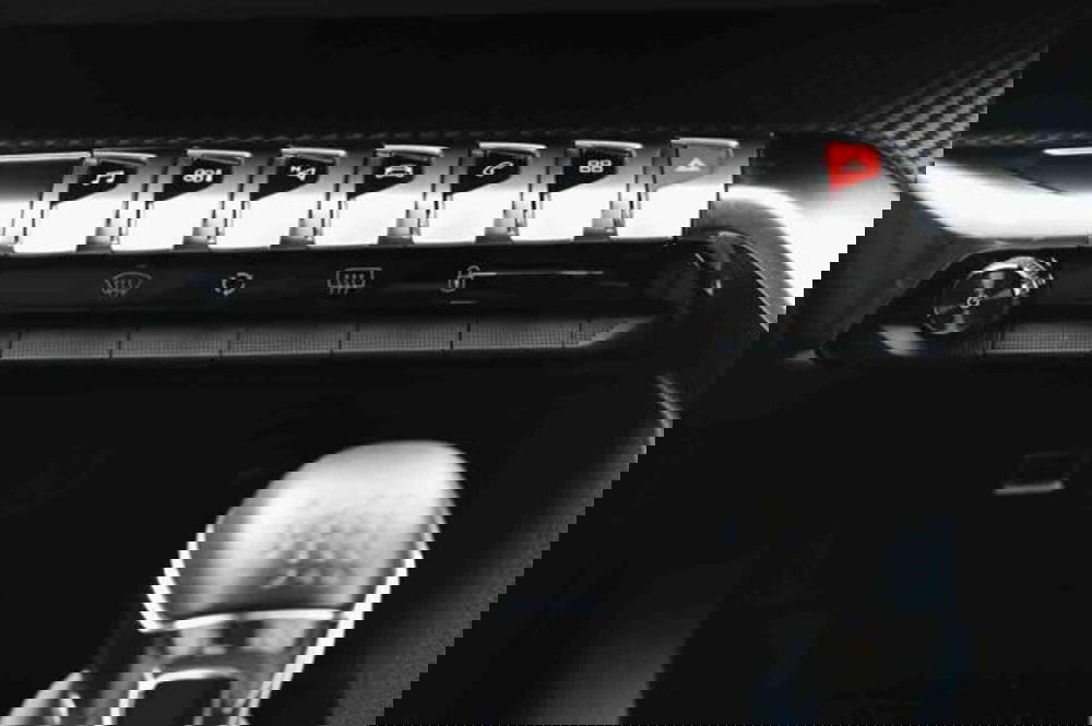 Peugeot 3008 usata a Torino (19)