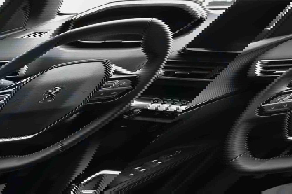 Peugeot 3008 usata a Torino (15)