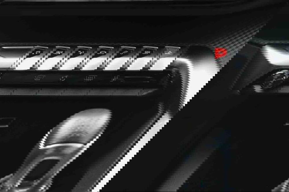 Peugeot 3008 usata a Torino (16)