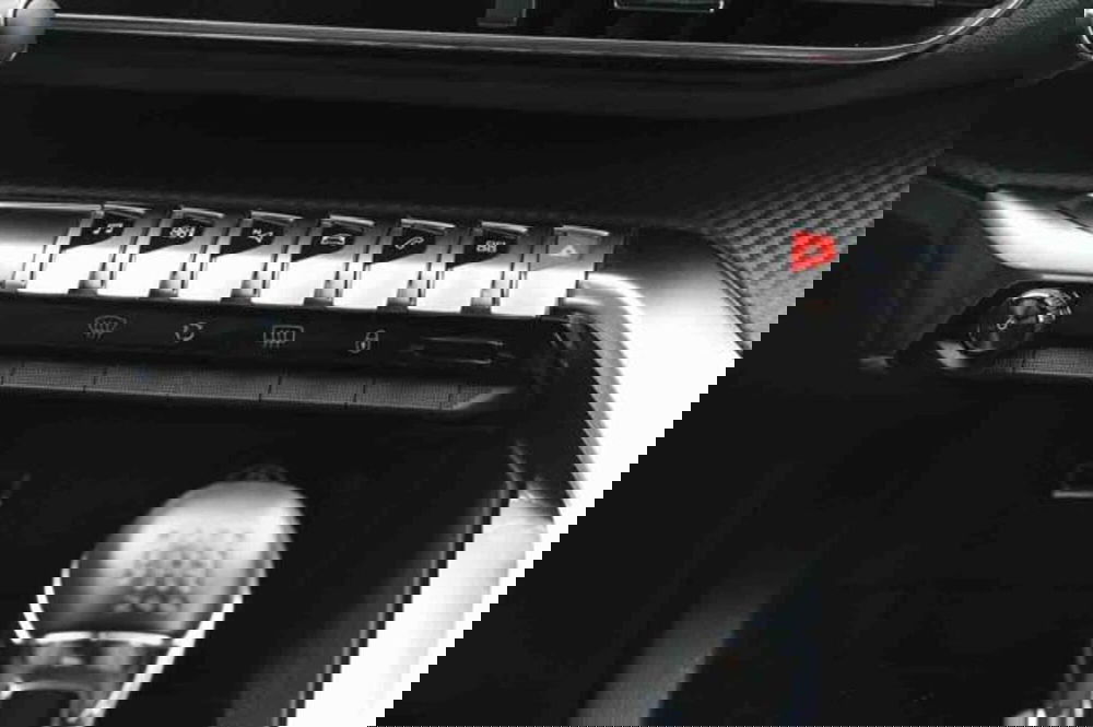 Peugeot 3008 usata a Torino (19)