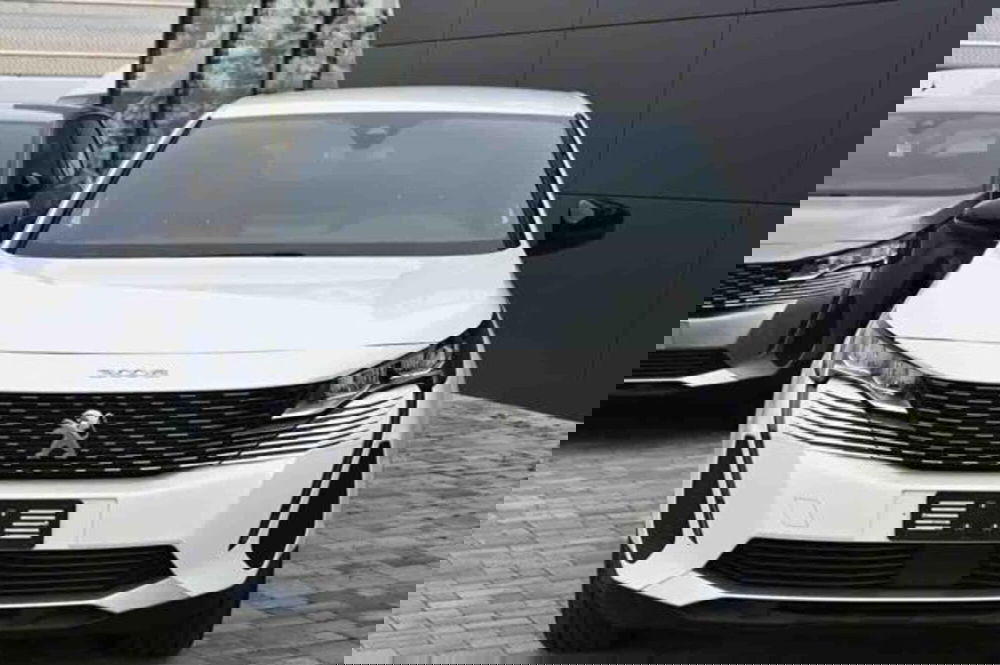 Peugeot 3008 usata a Torino (2)