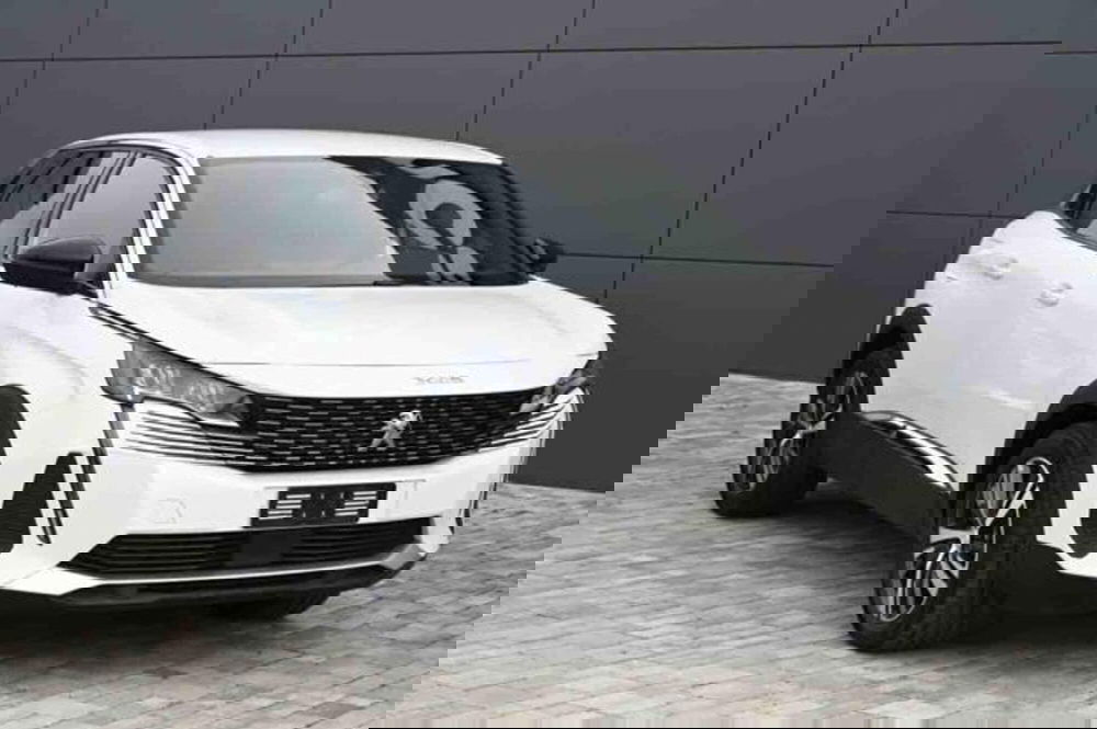 Peugeot 3008 usata a Torino (3)