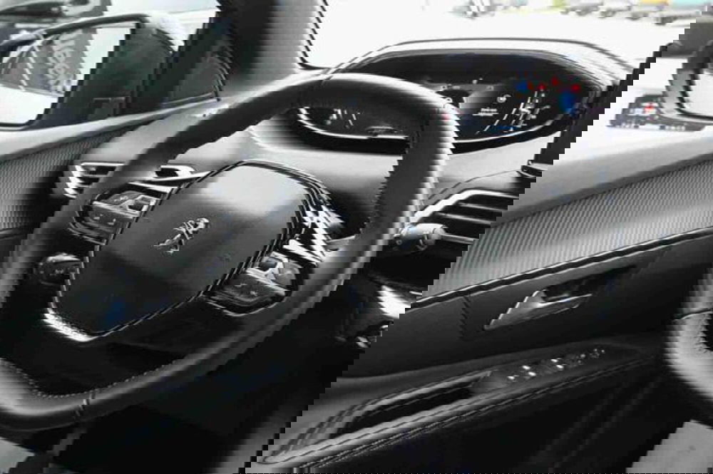 Peugeot 3008 usata a Torino (19)