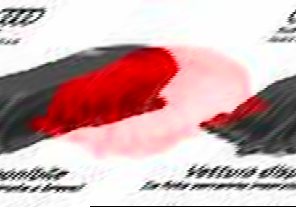 Audi SQ2 usata a Genova