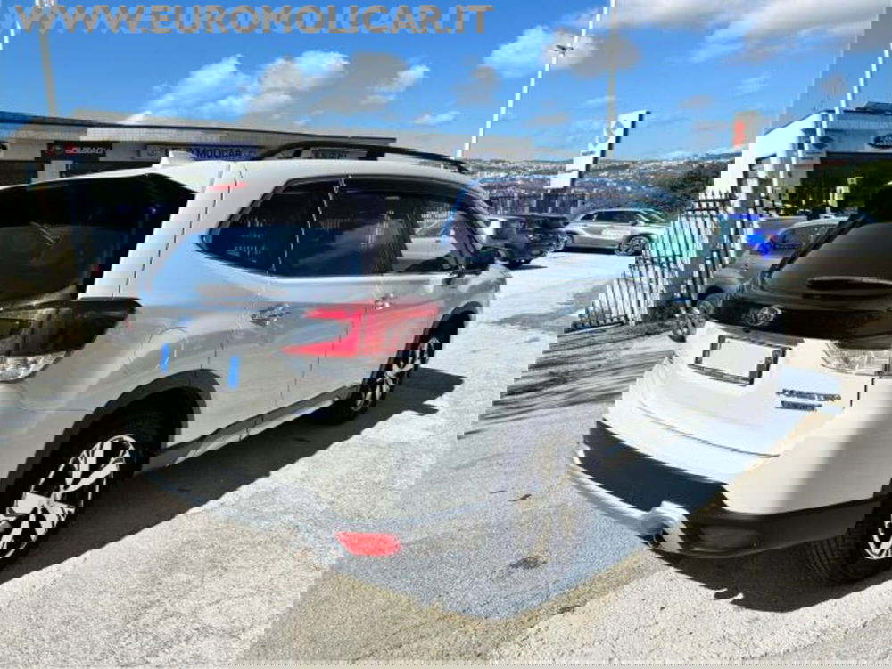 Subaru Forester usata a Campobasso (8)