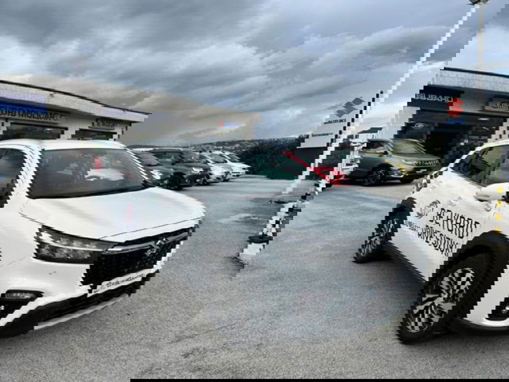 Suzuki S-Cross usata a Campobasso