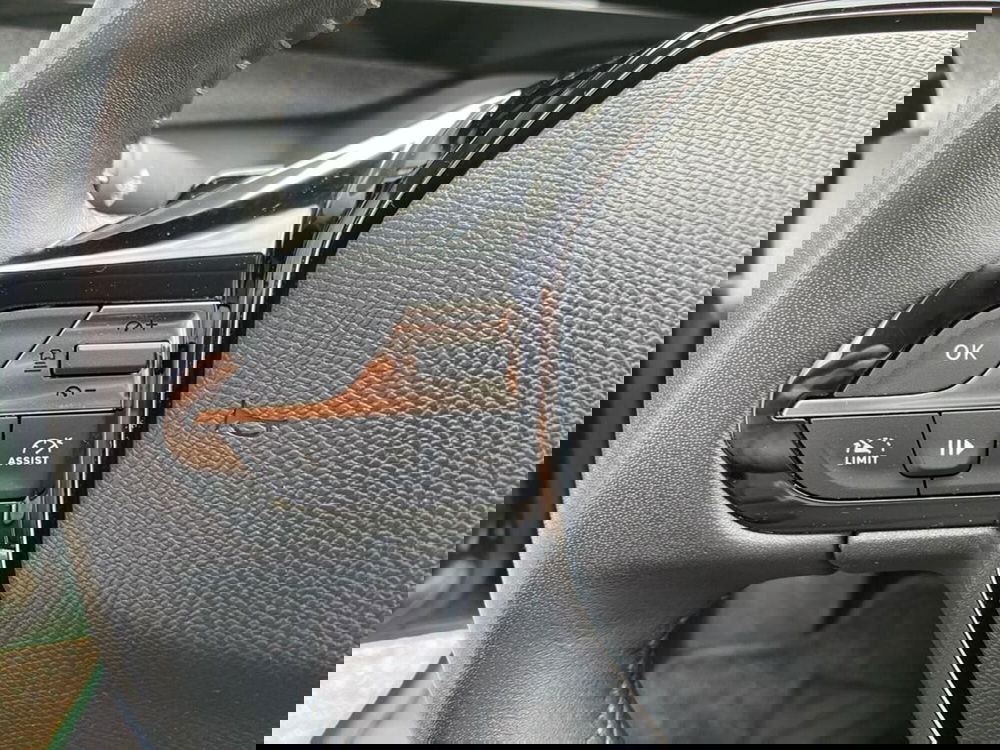 Peugeot 308 SW usata a Torino (10)