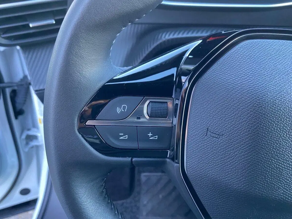 Peugeot 2008 usata a Torino (13)