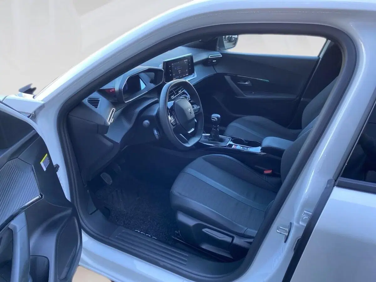 Peugeot 2008 usata a Torino (7)