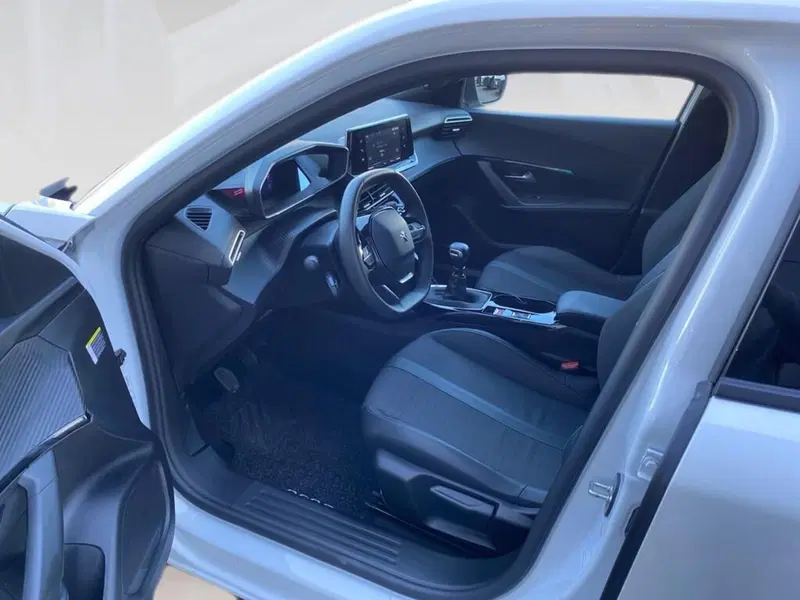 Peugeot 2008 usata a Torino (7)