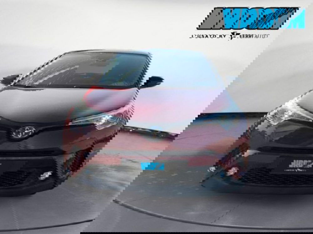 Toyota Toyota C-HR usata a Treviso (7)